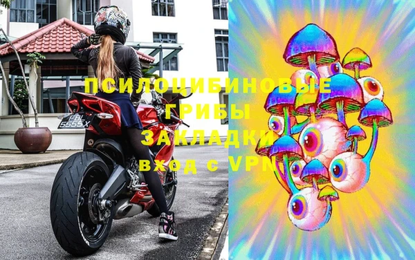 тгк Богданович