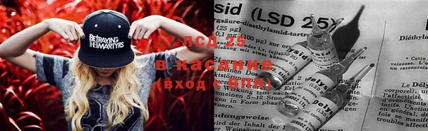 тгк Богданович